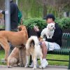 dog walk 2013-5130